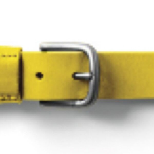 LWF Softball Belt Youth Thumbnail