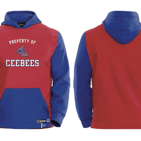 Conception Bay Ceebees  Art Attack Streetwear Hoodie - Youth  Thumbnail